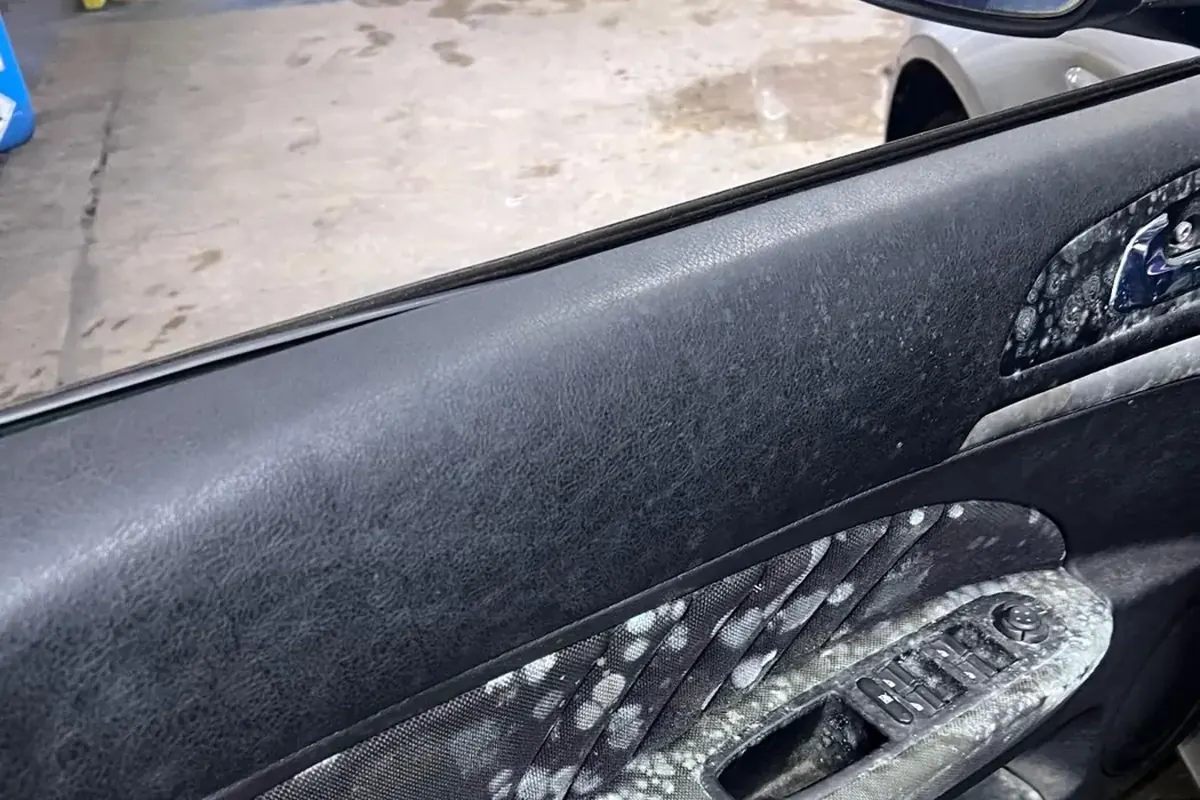 Pannello porta di un'auto con muffa bianca prima del lavaggio Full