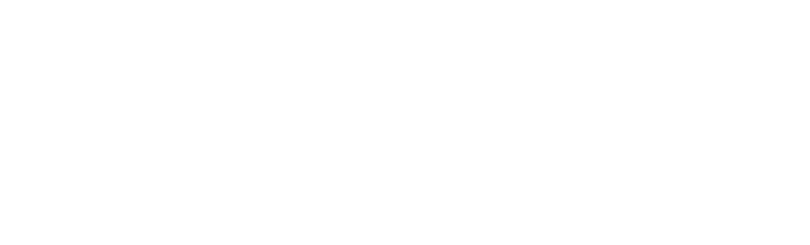 Lilo Srl Logo